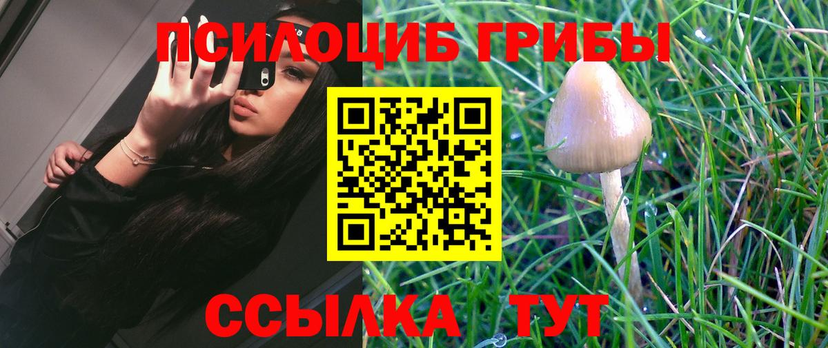 Галлюциногенные грибы GOLDEN TEACHER Зеленодольск
