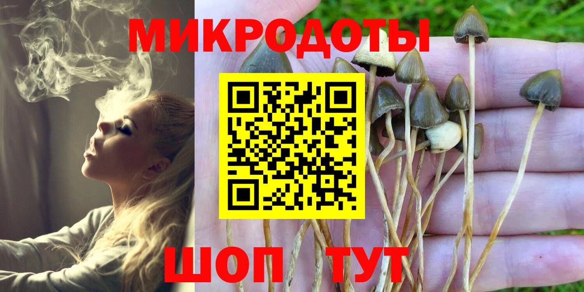 Галлюциногенные грибы мухоморы  Галлюциногенные грибы MAGIC MUSHROOMS  Зеленодольск  где можно купить наркотик  Вход с VPN 